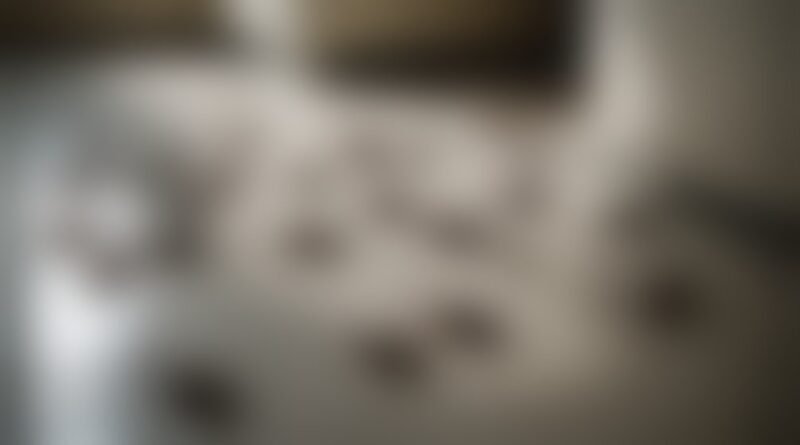 dead cockroaches post treatment indicate effectiveness