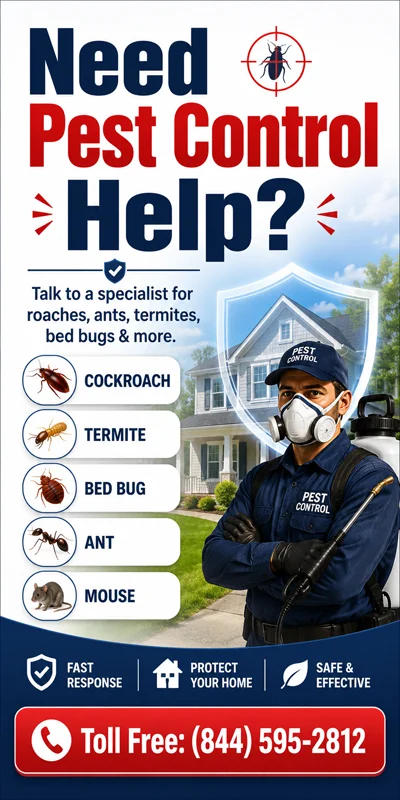 Call now for free pest inspection
