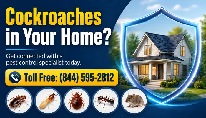 Call now for free pest inspection